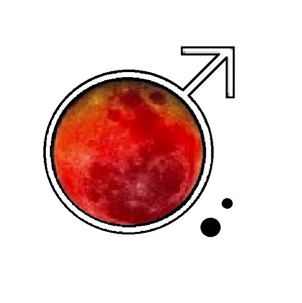 About Us - MARS Security - Mobile Armed Response Service